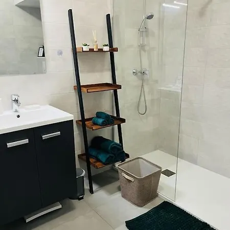 Appartement Luminieux - Quartier Maraicher Colmar