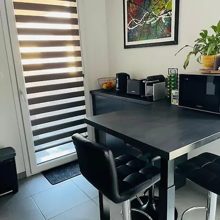 Appartement Luminieux - Quartier Maraicher Colmar